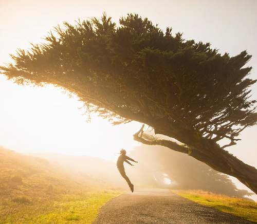 inverness silhouette of person jumping under tree united states